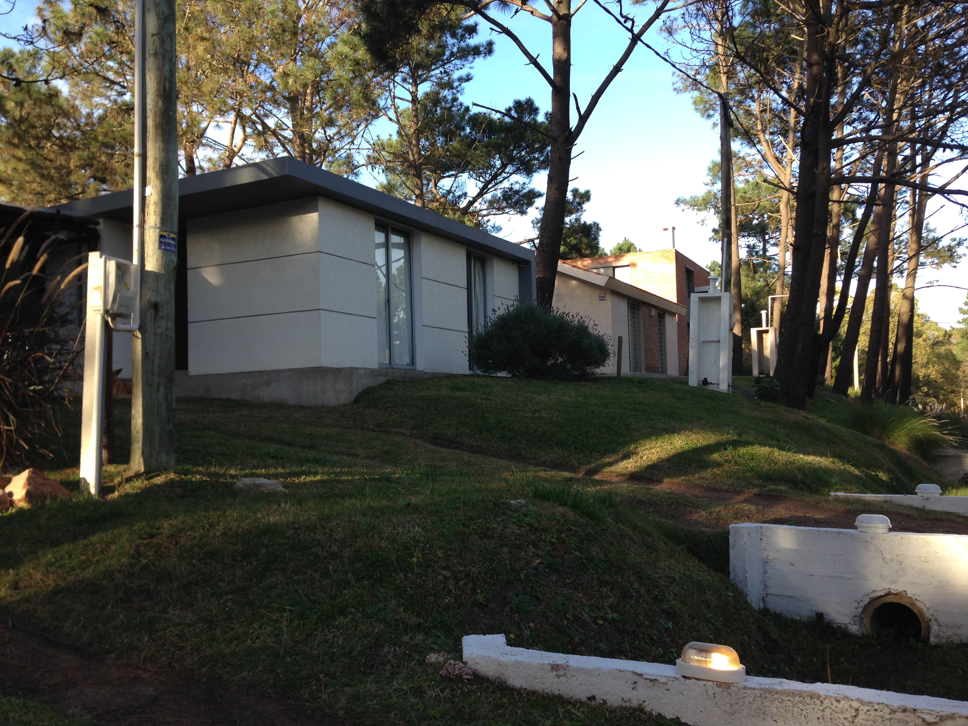 Complejo Pinares Del Bosque